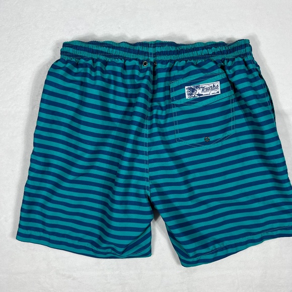 swim trucks shorts - Picture 2 of 9